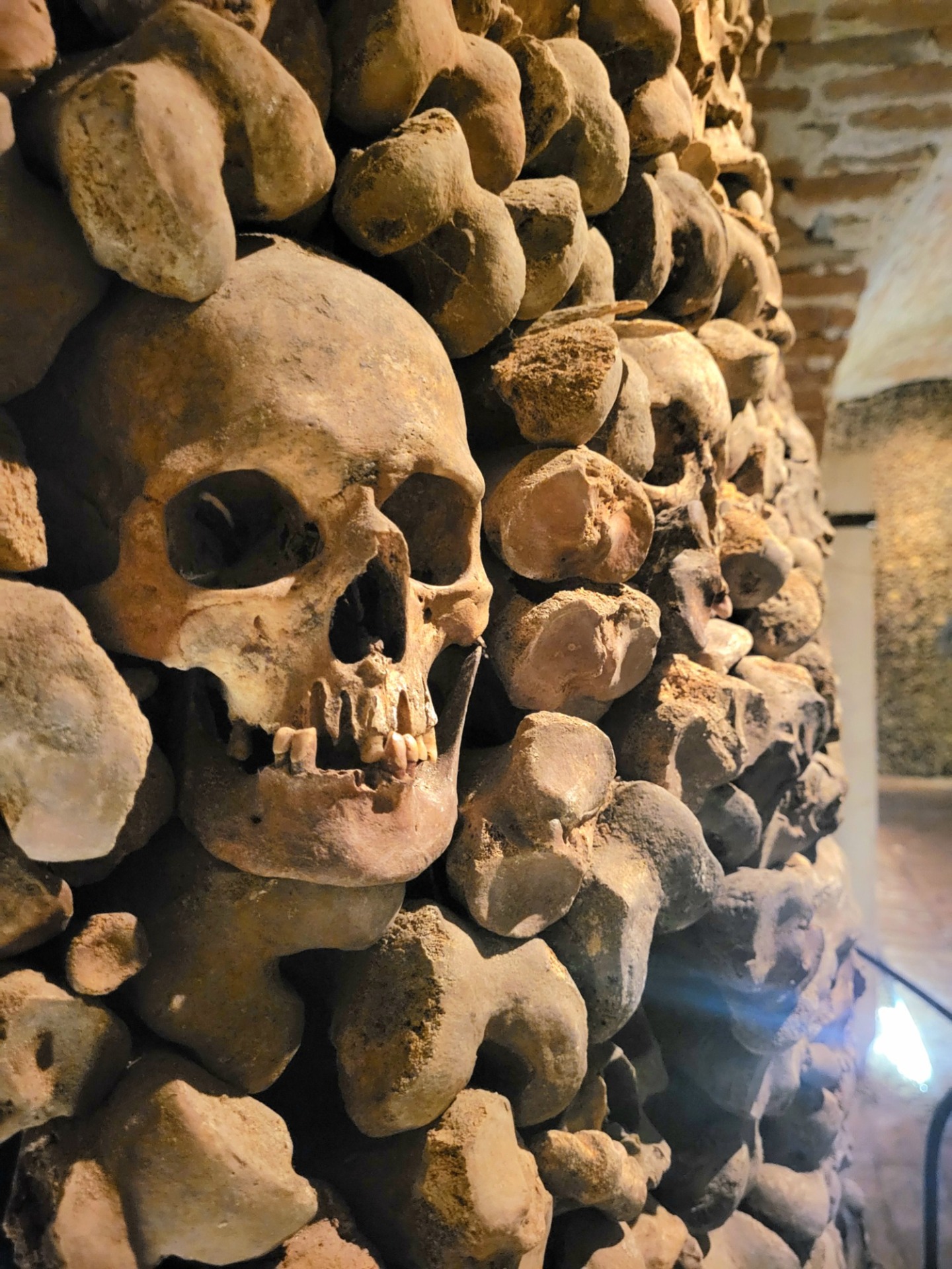 Tisíce kostí stredovekých obyvateľov na jednom mieste - Obrázok 4