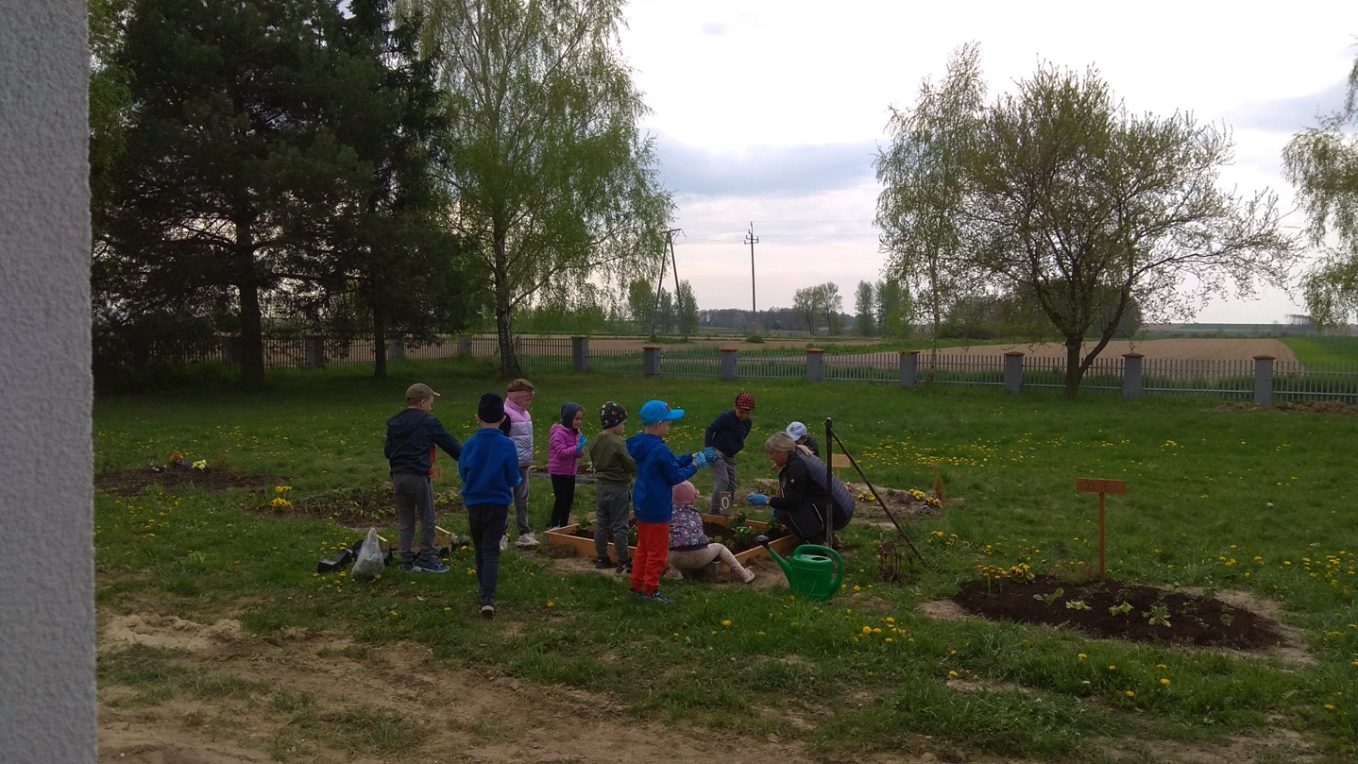 Prace pielęgnacyjne i porządkowe w ogrodzie przedszkolnym. - Obrazek 4