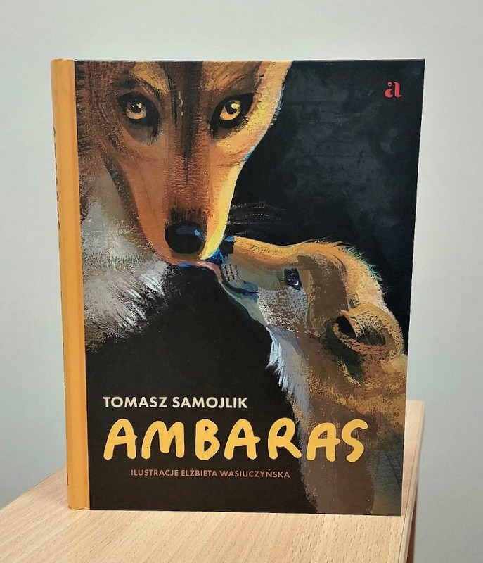 okładka książki Ambaras