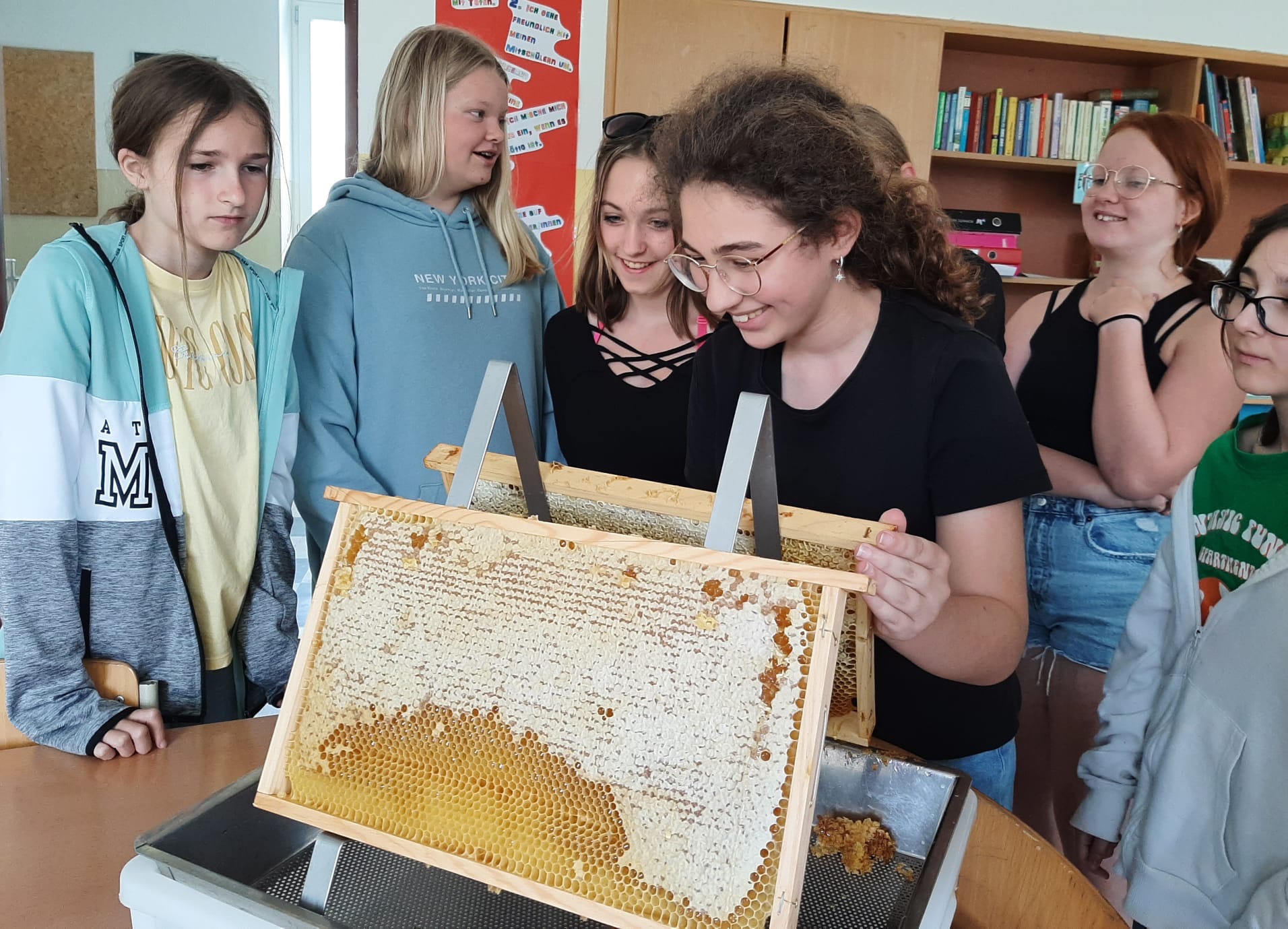 Honigproduktion der 2. Klassen - Bild 1