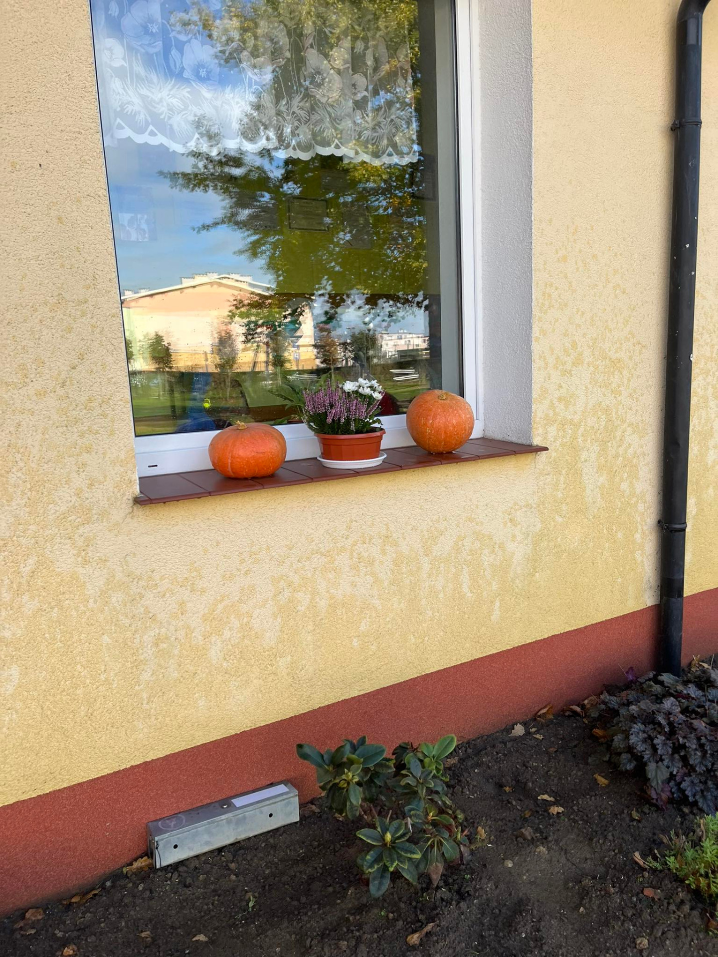 Jesienna dekoracja pod przedszkolem - Obrazek 2