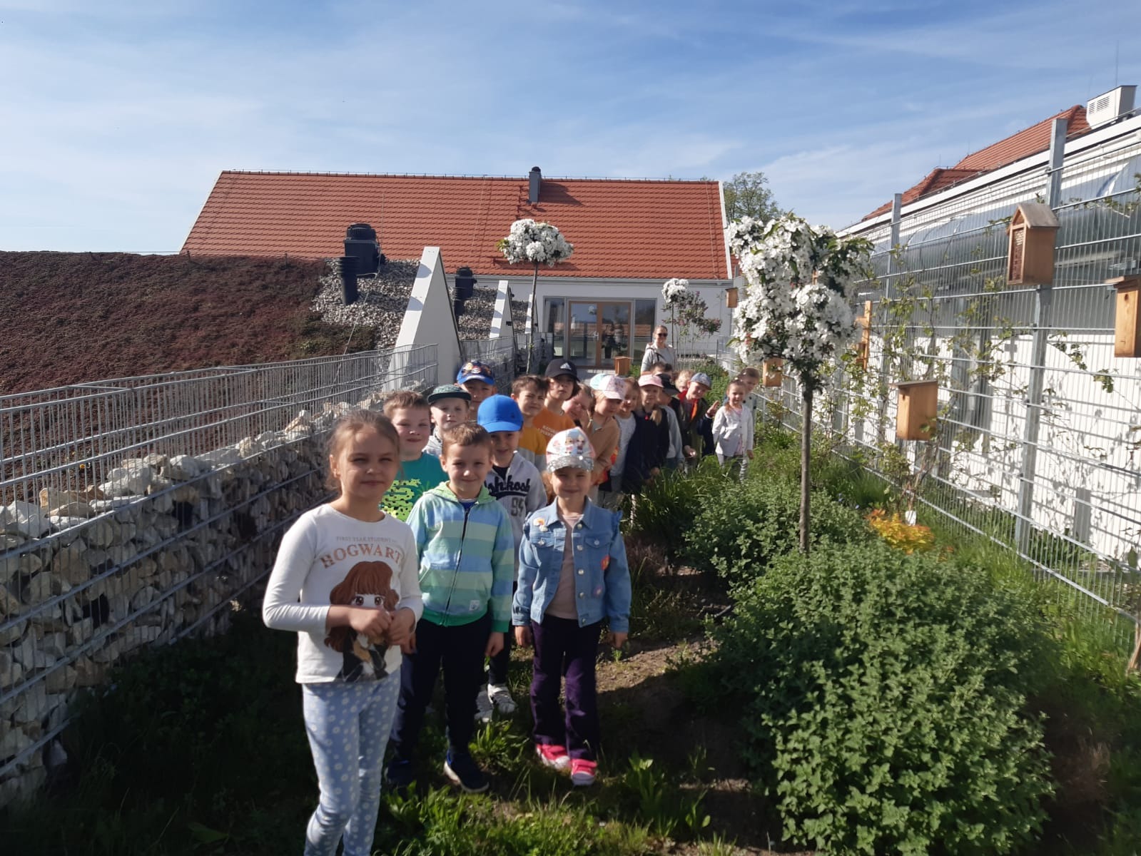 Wiosenny spacer przedszkolaków wśród kwitnących bzów i rajskich jabłoni - Obrazek 3
