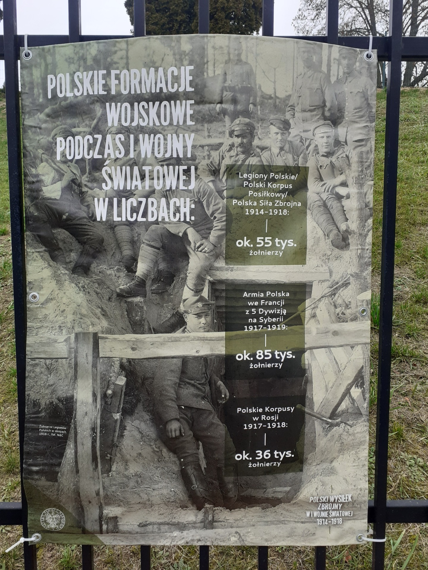 Polski wysiłek zbrojny w I wojnie światowej 1914-1918 - Obrazek 3