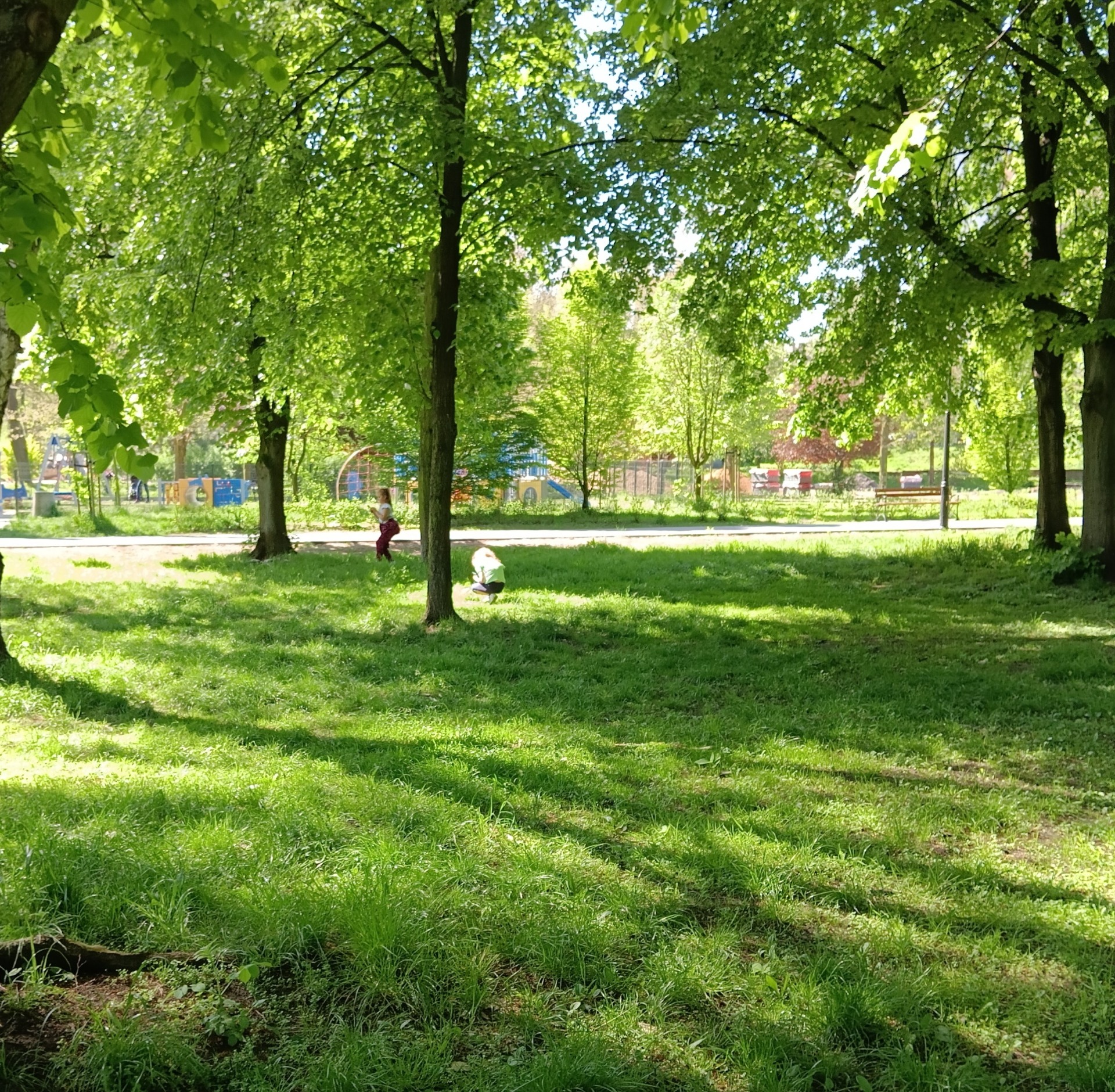 Obserwacje przyrodnicze w parku-kl.2b-P.U.Wawrzyn-Trzewik-2024 - Obrazek 1