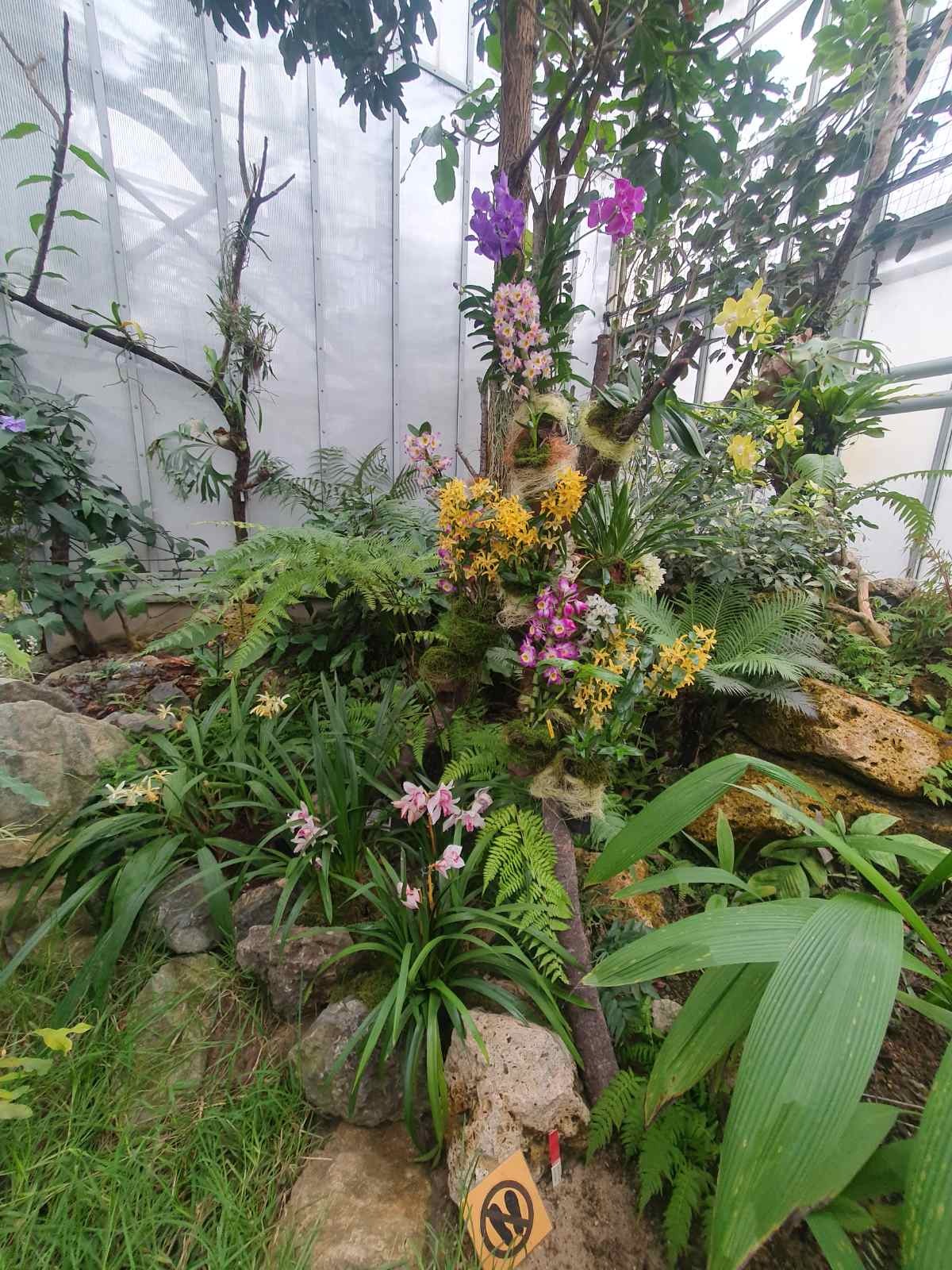 Návšteva Botanickej záhrady v Košiciach - Obrázok 5