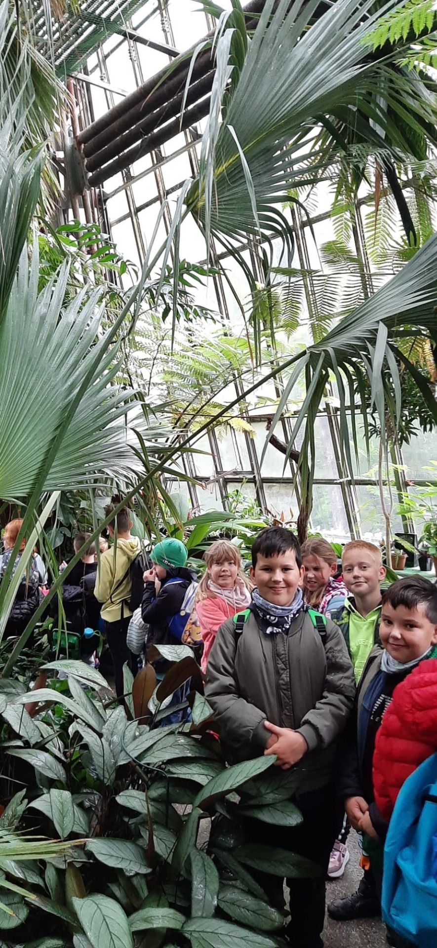 Uśmiechnięte dzieci oglądają ogromne palmy w szklarni Jubileuszowej w Ogrodzie Botanicznym