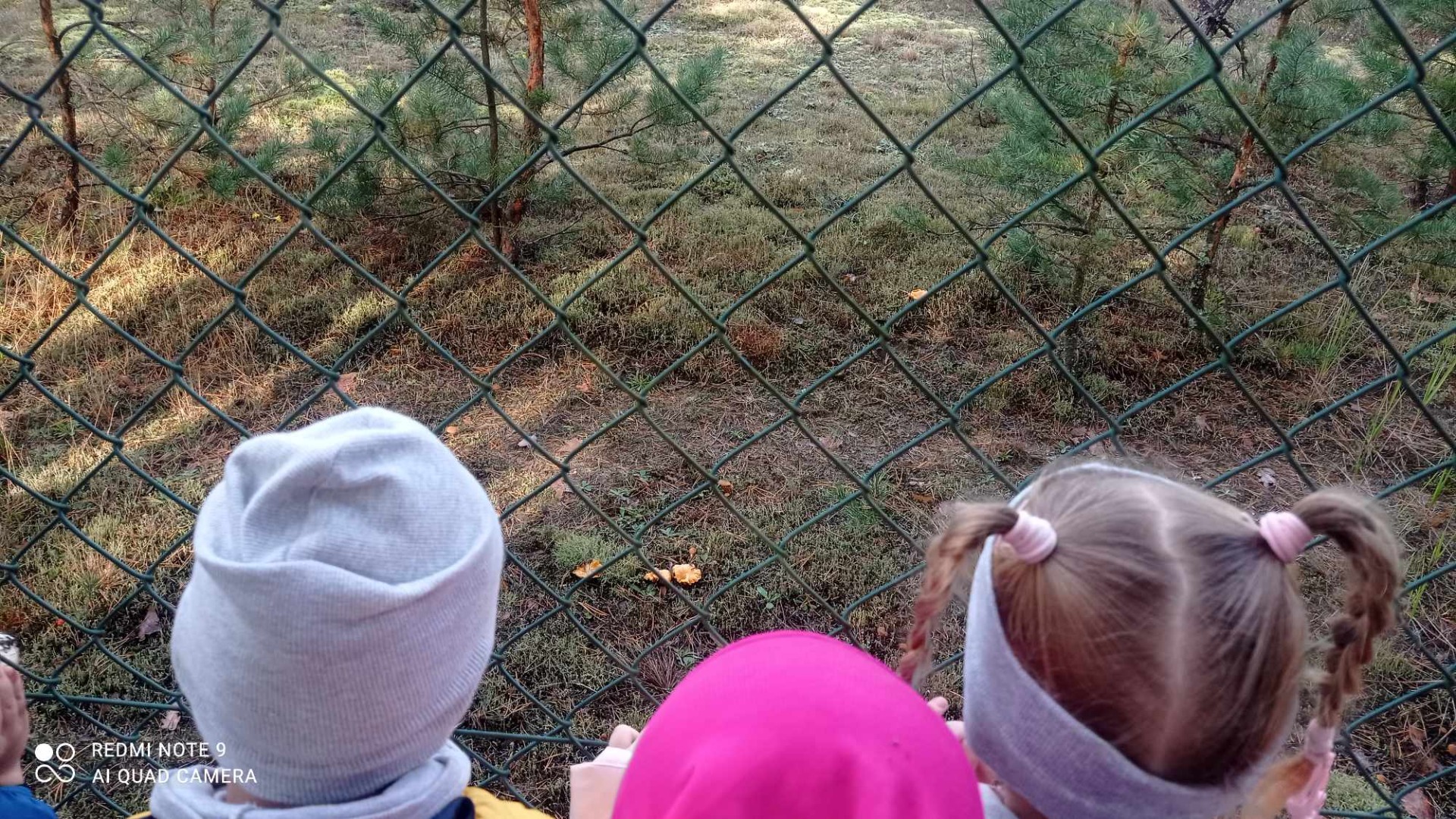 Przedszkolaki podczas wycieczki do lasu