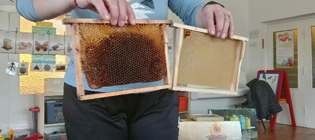 Spotkanie z pszczołami - Obrazek 3