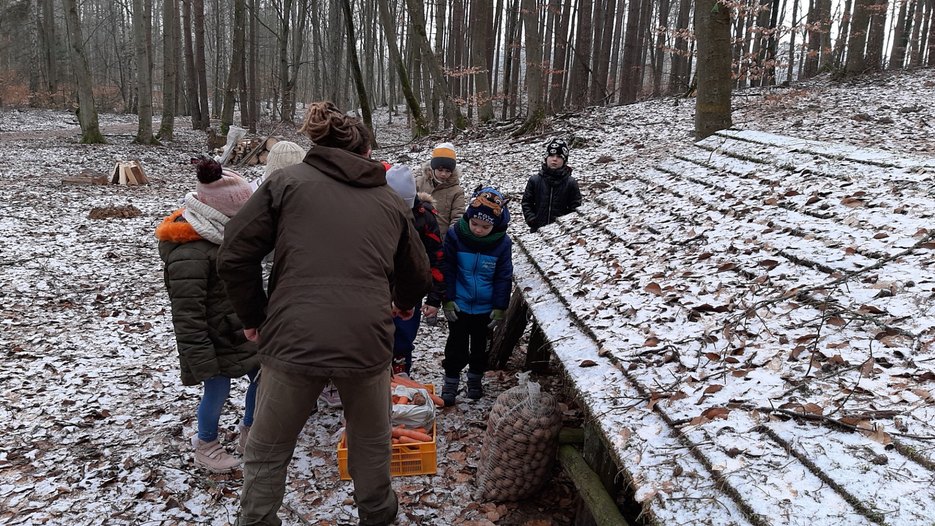 „Dokarmiamy zwierzęta zimą” - wycieczka do lasu
