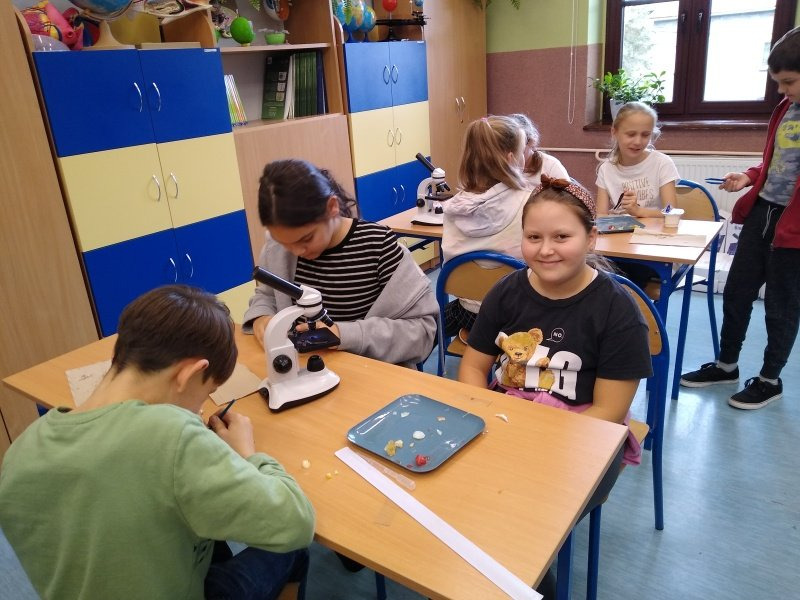 Uczniowie klasy 5b przygotowują własne preparaty mikroskopowe.