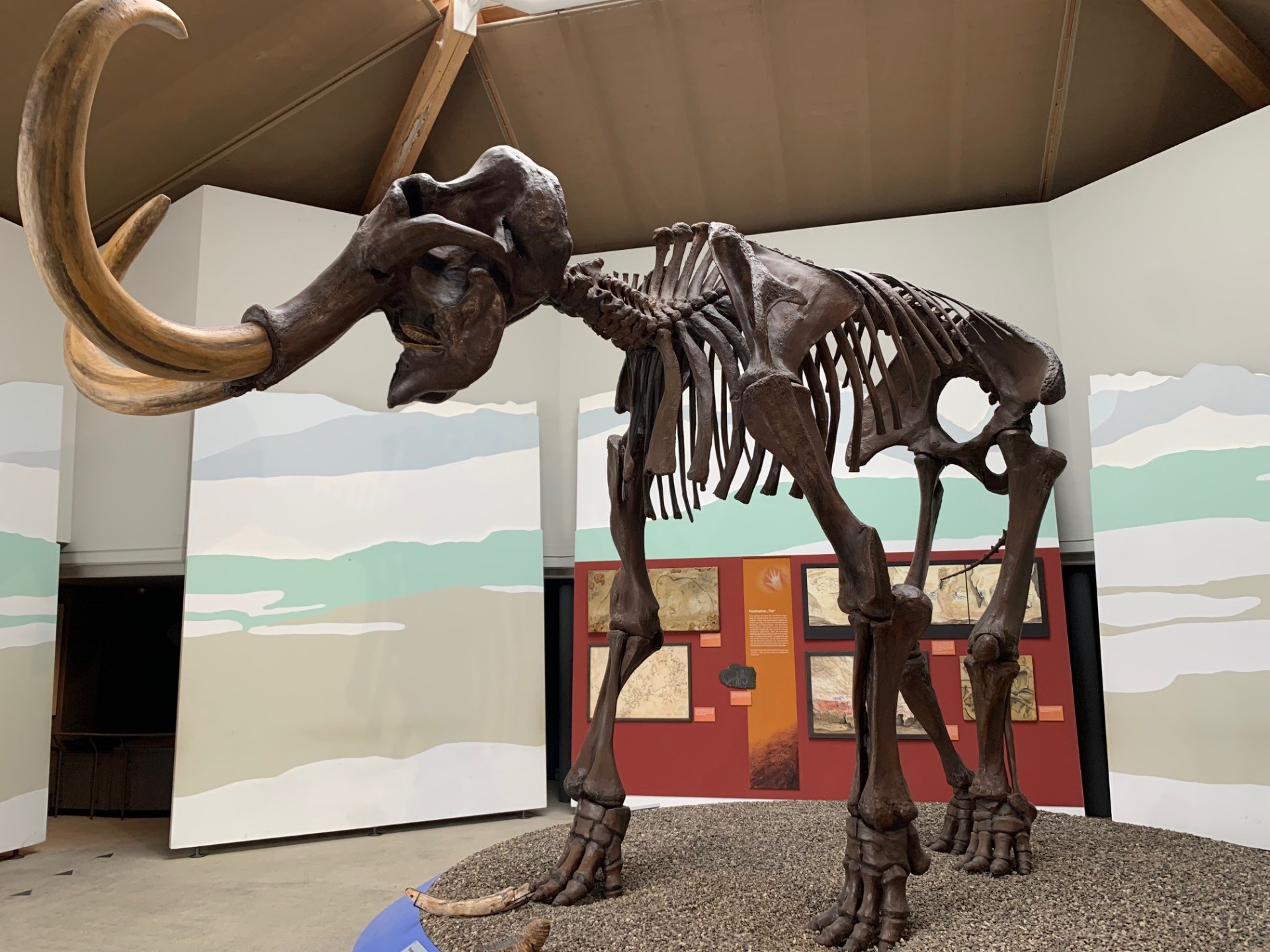 5ab im Mammut-Museum in Siegsdorf - Bild 1
