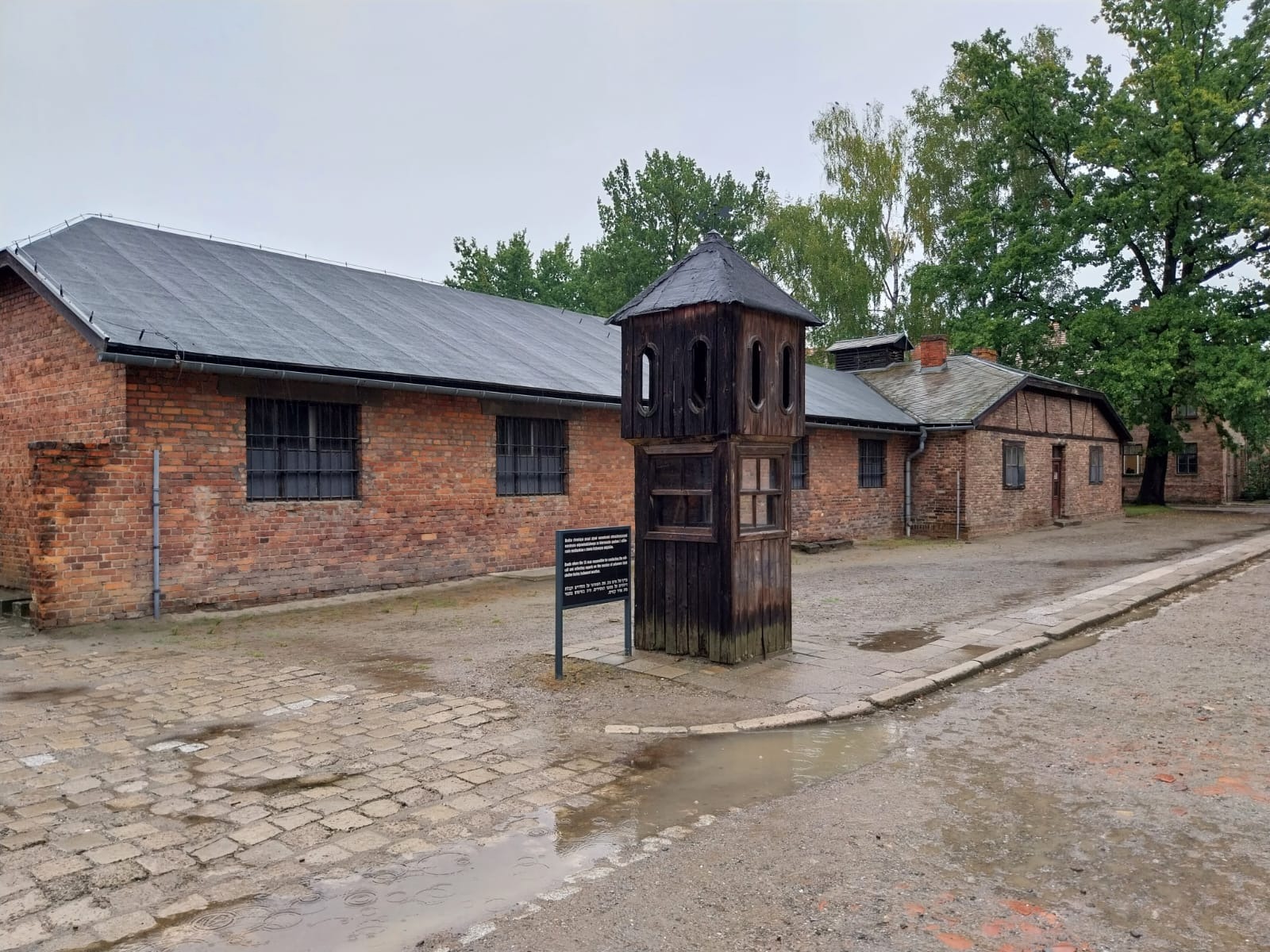 Muzeum Auschwitz-Birkenau - Obrazek 5